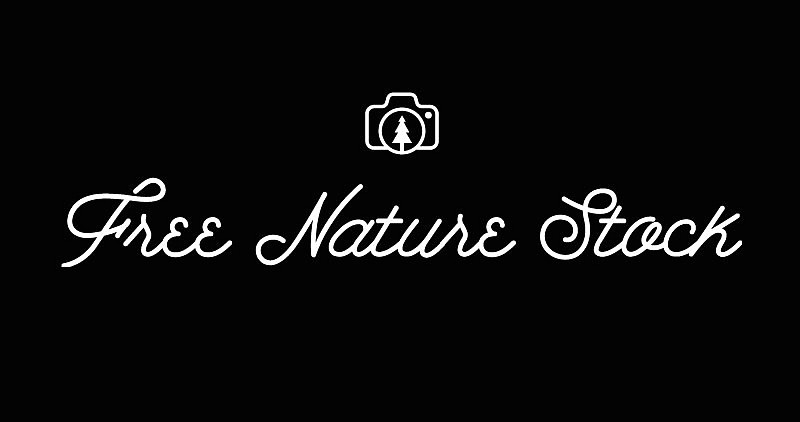 Free Stock Photo Images Free Nature Stock