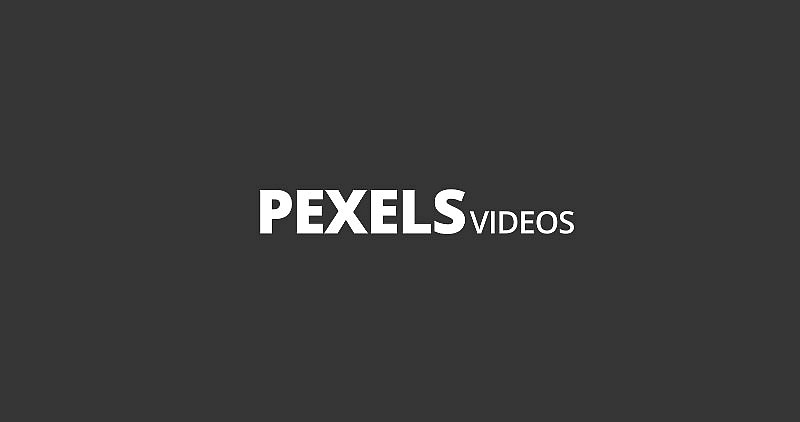Free Videos Pexels Video