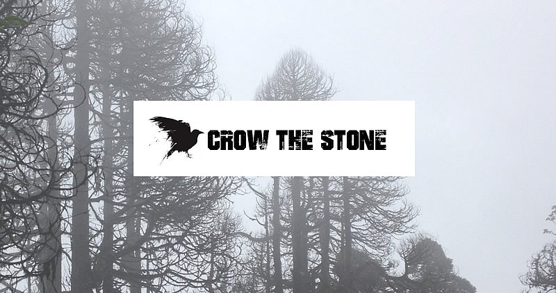 Free Stock Photo Images Crow The Stone