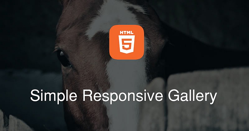  Simple Responsive Image Gallery